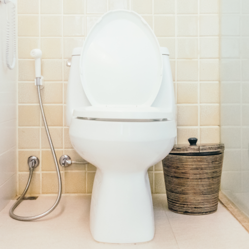 O Assento Sanitário Ideal para Seu Vaso